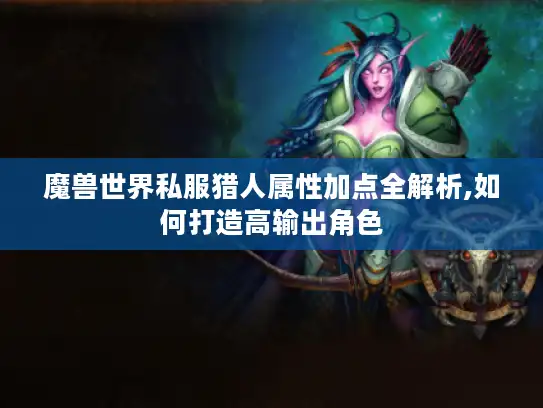 魔兽世界私服猎人属性加点全解析,如何打造高输出角色