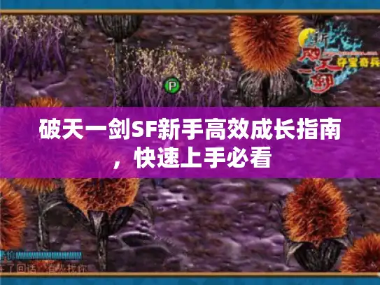 破天一剑SF新手高效成长指南,快速上手必看 破天一剑SF新手高效成长指南,快速上手必看