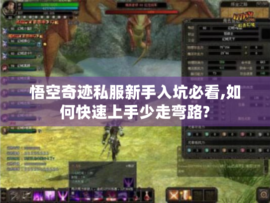 悟空奇迹私服新手入坑必看,如何快速上手少走弯路? 悟空奇迹私服新手入坑必看,如何快速上手少走弯路?