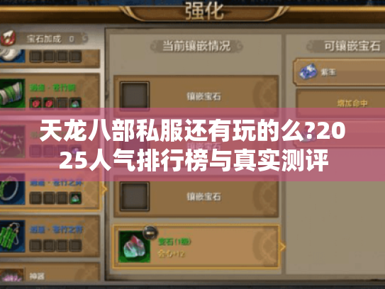 天龙八部私服还有玩的么?2025人气排行榜与真实测评 天龙八部私服还有玩的么?2025人气排行榜与真实测评