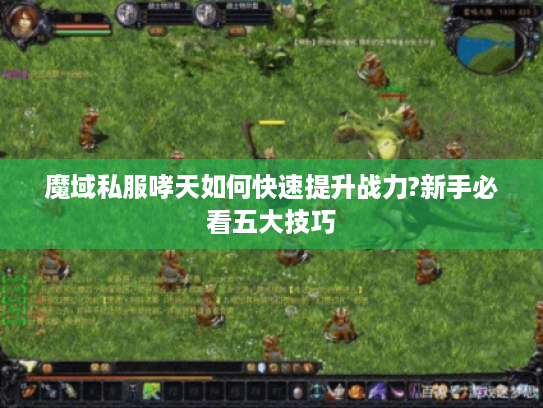 魔域私服哮天如何快速提升战力?新手必看五大技巧