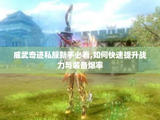 威武奇迹私服新手必看,如何快速提升战力与装备爆率 威武奇迹私服新手必看,如何快速提升战力与装备爆率