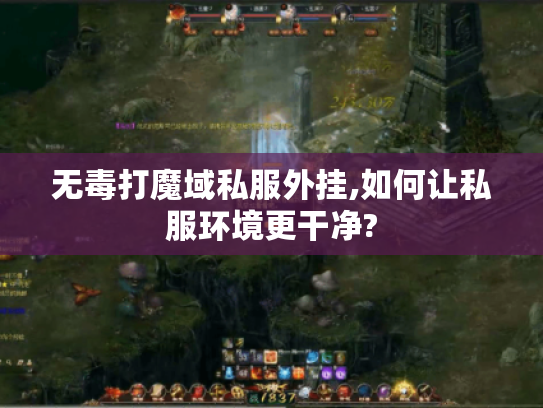 无毒打魔域私服外挂,如何让私服环境更干净?