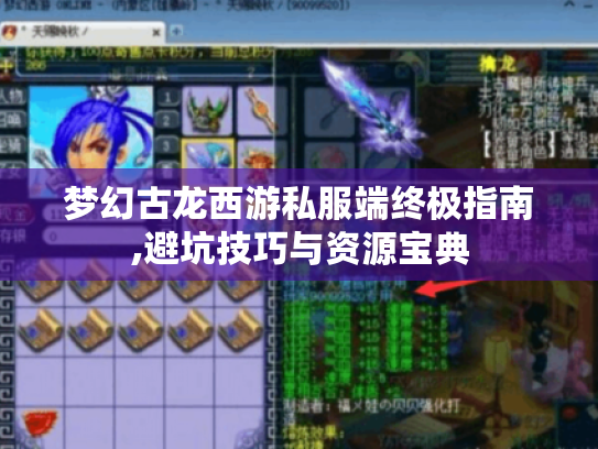 梦幻古龙西游私服端终极指南,避坑技巧与资源宝典 梦幻古龙西游私服端终极指南,避坑技巧与资源宝典
