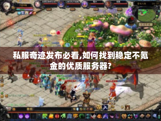 私服奇迹发布必看,如何找到稳定不氪金的优质服务器? 私服奇迹发布必看,如何找到稳定不氪金的优质服务器?
