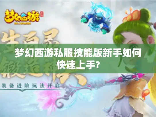 梦幻西游私服技能版新手如何快速上手?