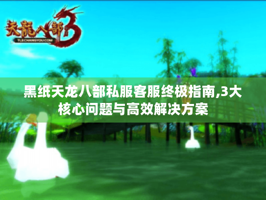 黑纸天龙八部私服客服终极指南,3大核心问题与高效解决方案 黑纸天龙八部私服客服终极指南,3大核心问题与高效解决方案