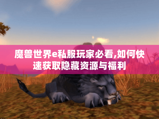 魔兽世界e私服玩家必看,如何快速获取隐藏资源与福利 魔兽世界e私服玩家必看,如何快速获取隐藏资源与福利