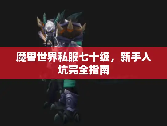 魔兽世界私服七十级，新手入坑完全指南