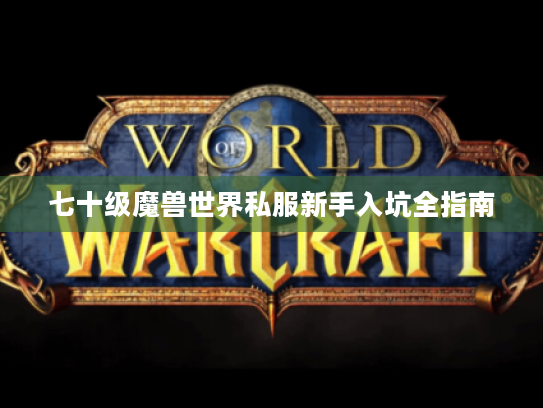 七十级魔兽世界私服新手入坑全指南