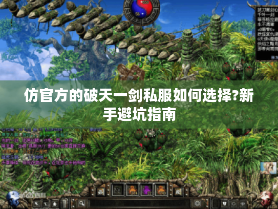 仿官方的破天一剑私服如何选择?新手避坑指南