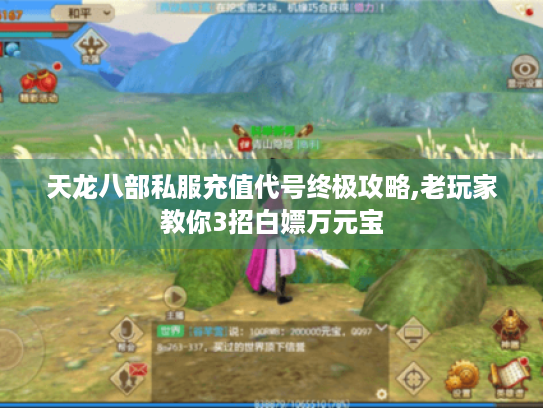 天龙八部私服充值代号终极攻略,老玩家教你3招白嫖万元宝 天龙八部私服充值代号终极攻略,老玩家教你3招白嫖万元宝