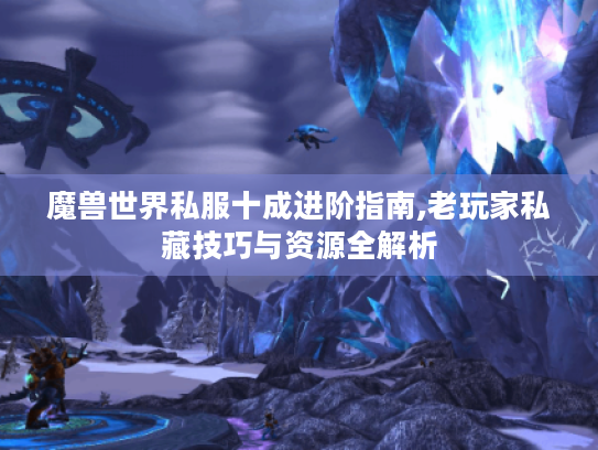 魔兽世界私服十成进阶指南,老玩家私藏技巧与资源全解析 魔兽世界私服十成进阶指南,老玩家私藏技巧与资源全解析