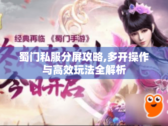 蜀门私服分屏攻略,多开操作与高效玩法全解析 蜀门私服分屏攻略,多开操作与高效玩法全解析