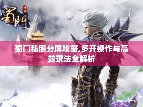 蜀门私服分屏攻略,多开操作与高效玩法全解析 蜀门私服分屏攻略,多开操作与高效玩法全解析