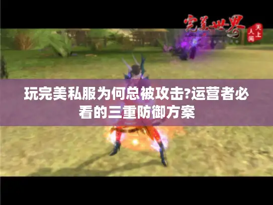 玩完美私服为何总被攻击?运营者必看的三重防御方案