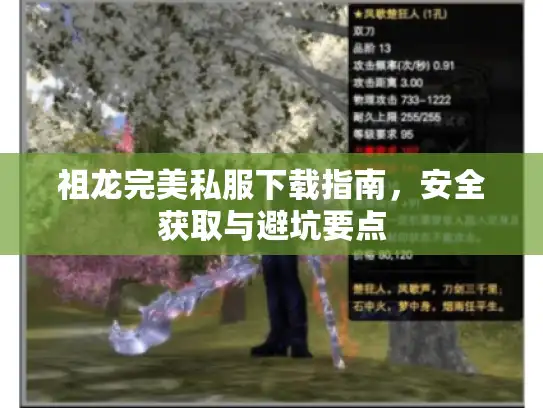 祖龙完美私服下载指南，安全获取与避坑要点