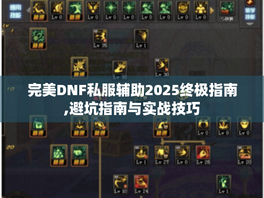 完美DNF私服辅助2025终极指南,避坑指南与实战技巧 完美DNF私服辅助2025终极指南,避坑指南与实战技巧