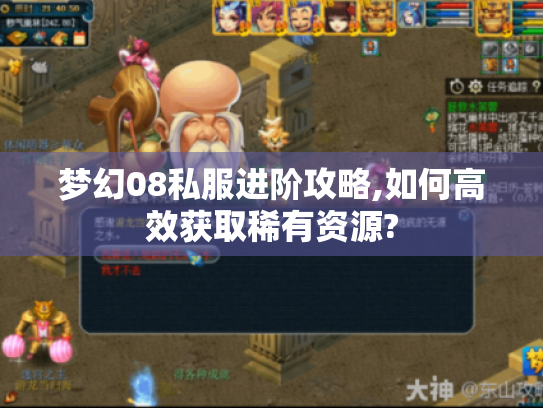 梦幻08私服进阶攻略,如何高效获取稀有资源? 梦幻08私服进阶攻略,如何高效获取稀有资源?