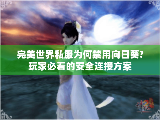 完美世界私服为何禁用向日葵?玩家必看的安全连接方案
