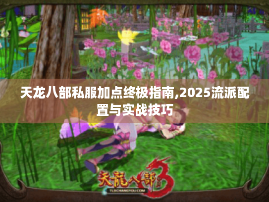 天龙八部私服加点终极指南,2025流派配置与实战技巧 天龙八部私服加点终极指南,2025流派配置与实战技巧