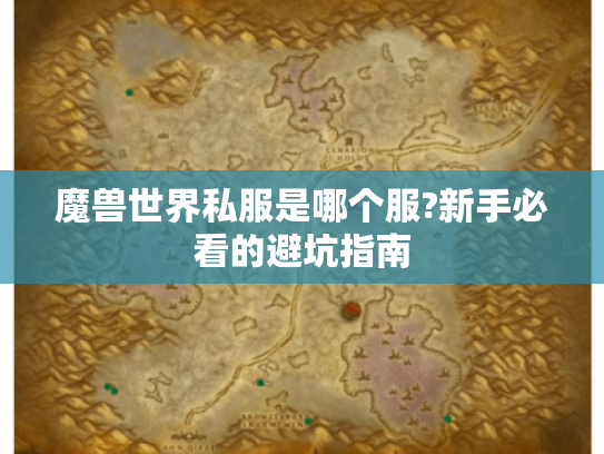 魔兽世界私服是哪个服?新手必看的避坑指南