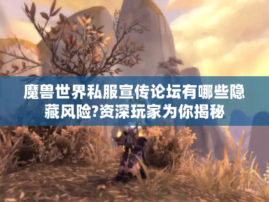 魔兽世界私服宣传论坛有哪些隐藏风险?资深玩家为你揭秘