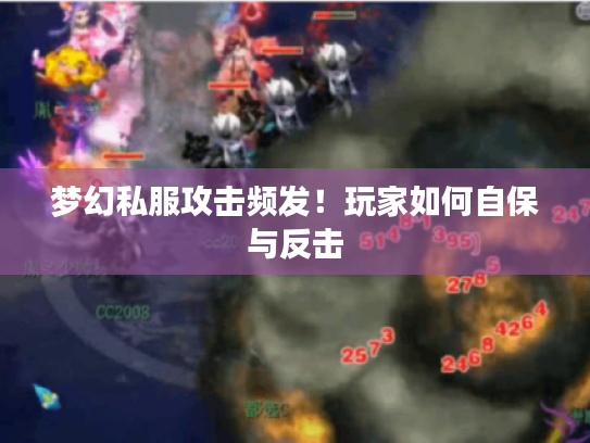 梦幻私服攻击频发!玩家如何自保与反击 梦幻私服攻击频发!玩家如何自保与反击