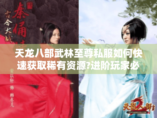 天龙八部武林至尊私服如何快速获取稀有资源?进阶玩家必看攻略 天龙八部武林至尊私服如何快速获取稀有资源?进阶玩家必看攻略