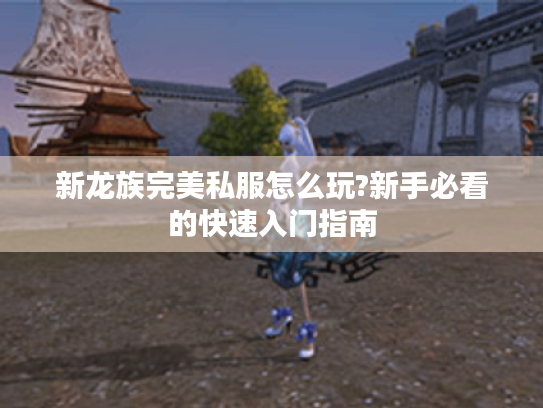 新龙族完美私服怎么玩?新手必看的快速入门指南 新龙族完美私服怎么玩?新手必看的快速入门指南