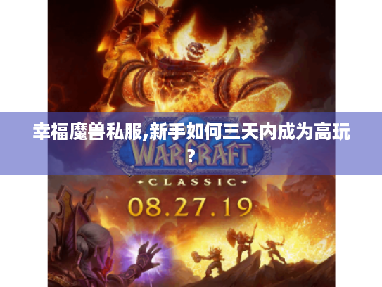 幸福魔兽私服,新手如何三天内成为高玩?