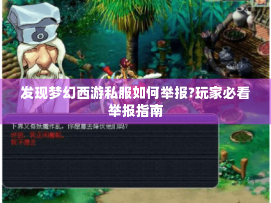 发现梦幻西游私服如何举报?玩家必看举报指南
