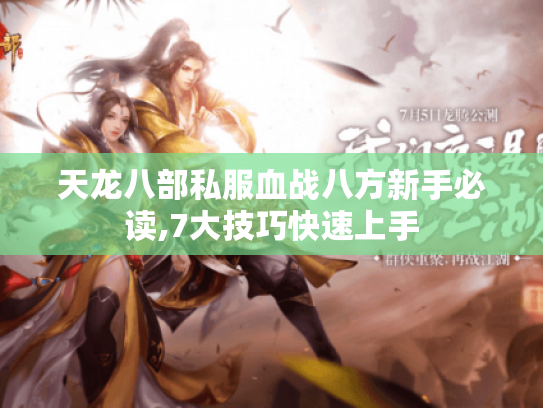 天龙八部私服血战八方新手必读,7大技巧快速上手 天龙八部私服血战八方新手必读,7大技巧快速上手