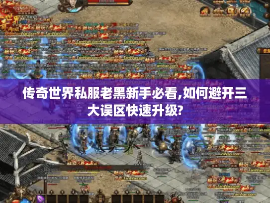 传奇世界私服老黑新手必看,如何避开三大误区快速升级? 传奇世界私服老黑新手必看,如何避开三大误区快速升级?
