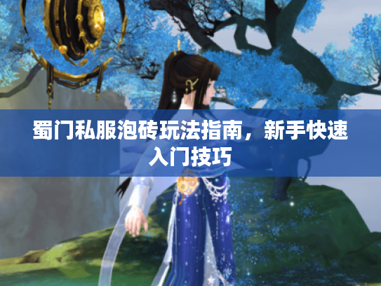 蜀门私服泡砖玩法指南，新手快速入门技巧