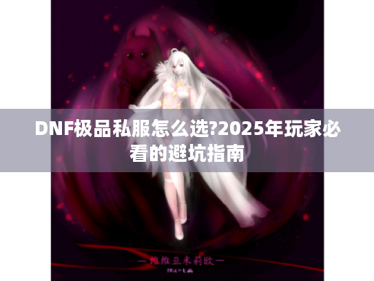 DNF极品私服怎么选?2025年玩家必看的避坑指南