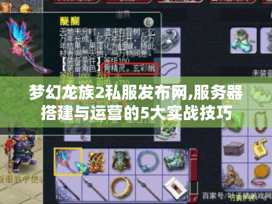 梦幻龙族2私服发布网,服务器搭建与运营的5大实战技巧