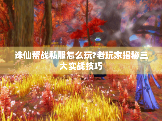 诛仙帮战私服怎么玩?老玩家揭秘三大实战技巧 诛仙帮战私服怎么玩?老玩家揭秘三大实战技巧