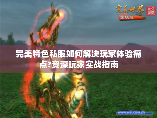 完美特色私服如何解决玩家体验痛点?资深玩家实战指南 完美特色私服如何解决玩家体验痛点?资深玩家实战指南