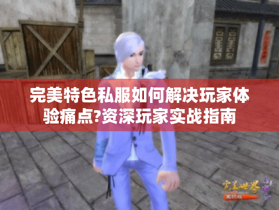 完美特色私服如何解决玩家体验痛点?资深玩家实战指南 完美特色私服如何解决玩家体验痛点?资深玩家实战指南