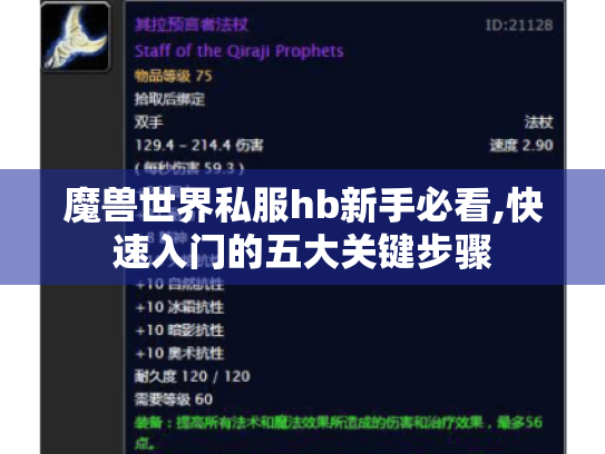 魔兽世界私服hb新手必看,快速入门的五大关键步骤