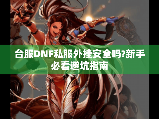 台服DNF私服外挂安全吗?新手必看避坑指南 台服DNF私服外挂安全吗?新手必看避坑指南