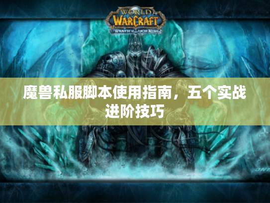 魔兽私服脚本使用指南，五个实战进阶技巧
