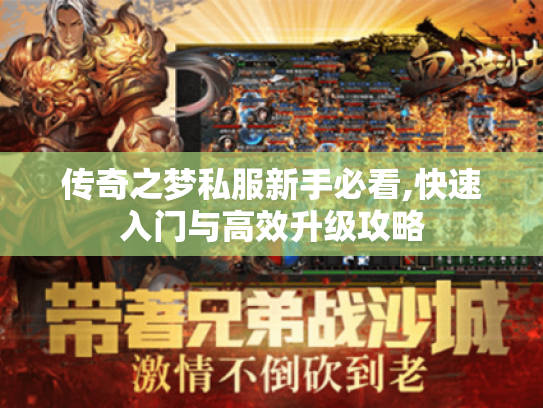 传奇之梦私服新手必看,快速入门与高效升级攻略