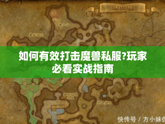 如何有效打击魔兽私服?玩家必看实战指南