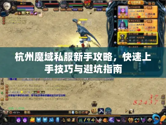 杭州魔域私服新手攻略，快速上手技巧与避坑指南