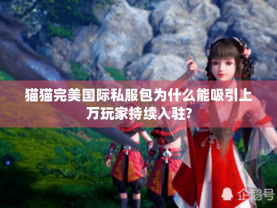 猫猫完美国际私服包为什么能吸引上万玩家持续入驻? 猫猫完美国际私服包为什么能吸引上万玩家持续入驻?