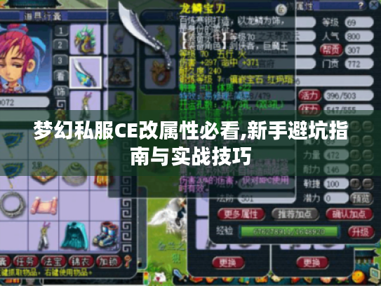 梦幻私服CE改属性必看,新手避坑指南与实战技巧 梦幻私服CE改属性必看,新手避坑指南与实战技巧