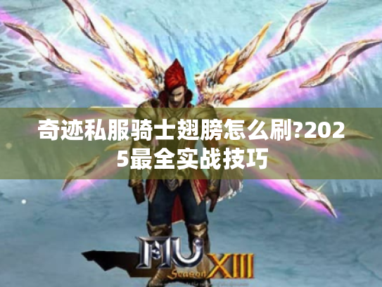 奇迹私服骑士翅膀怎么刷?2025最全实战技巧 奇迹私服骑士翅膀怎么刷?2025最全实战技巧