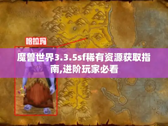 魔兽世界3.3.5sf稀有资源获取指南,进阶玩家必看